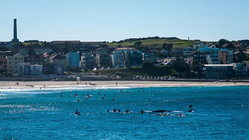 2013-07-07T124623Z-988231753-GM1E9771LGE01-RTRMADP-3-AUSTRALIA-JPG6942850196722578664