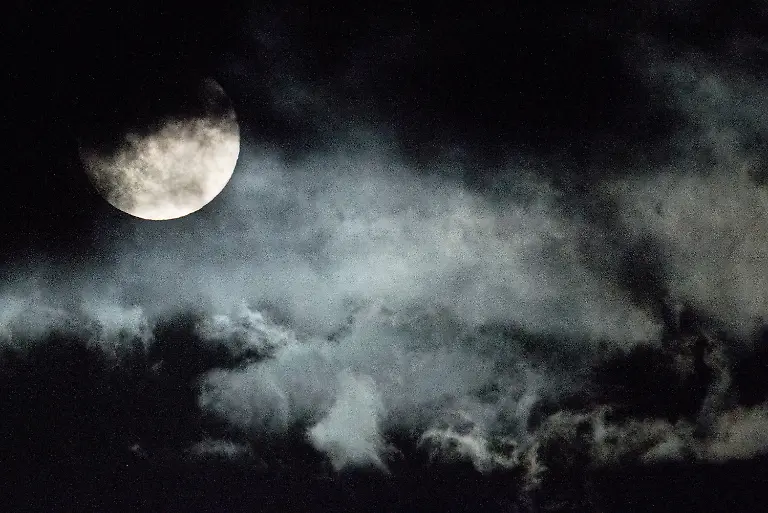 3cew5901-jpg4286210052935059383