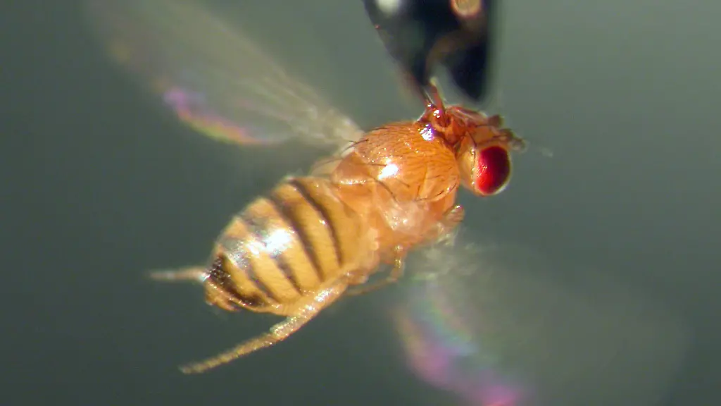 3cfs0853-jpg1558880113444390452