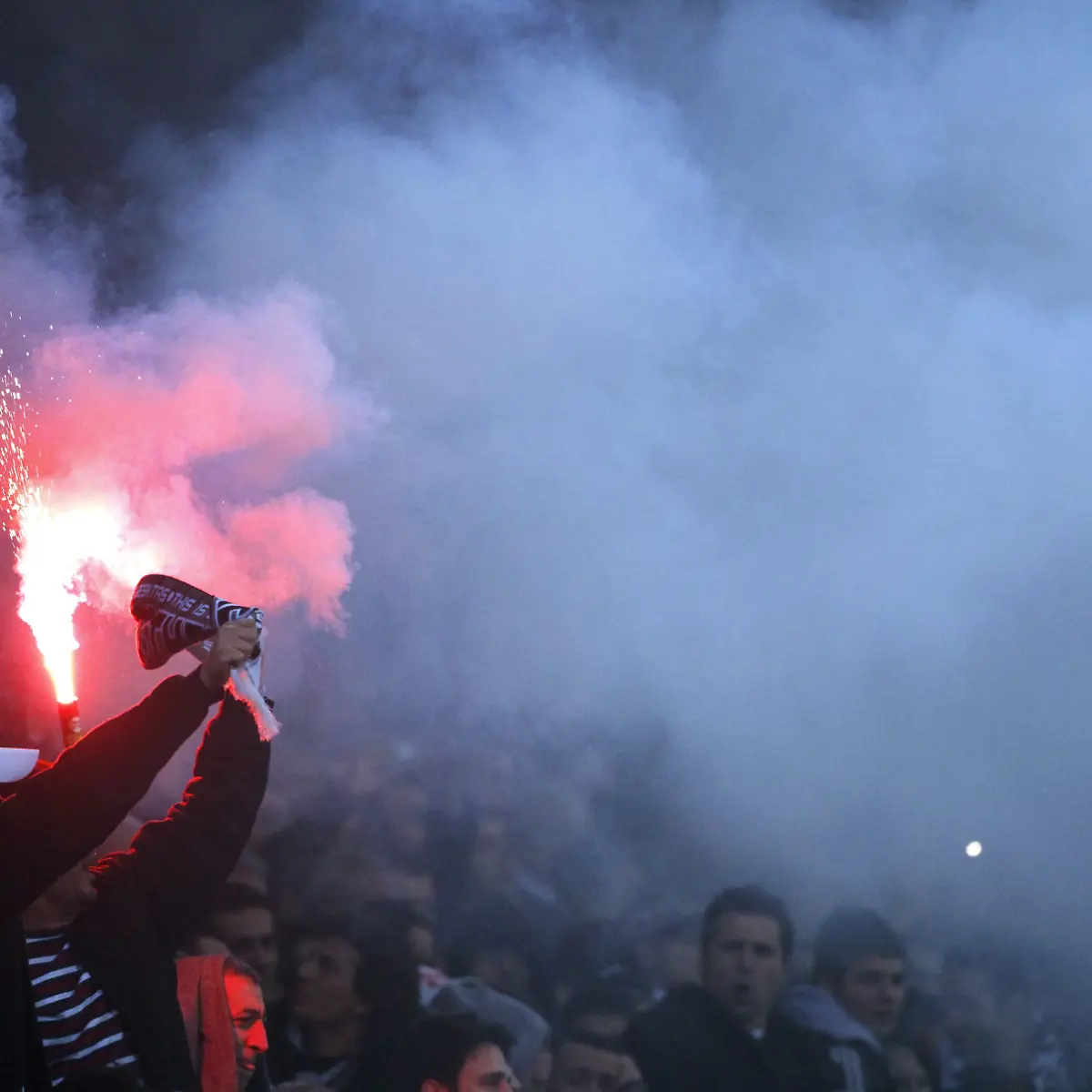 fans
