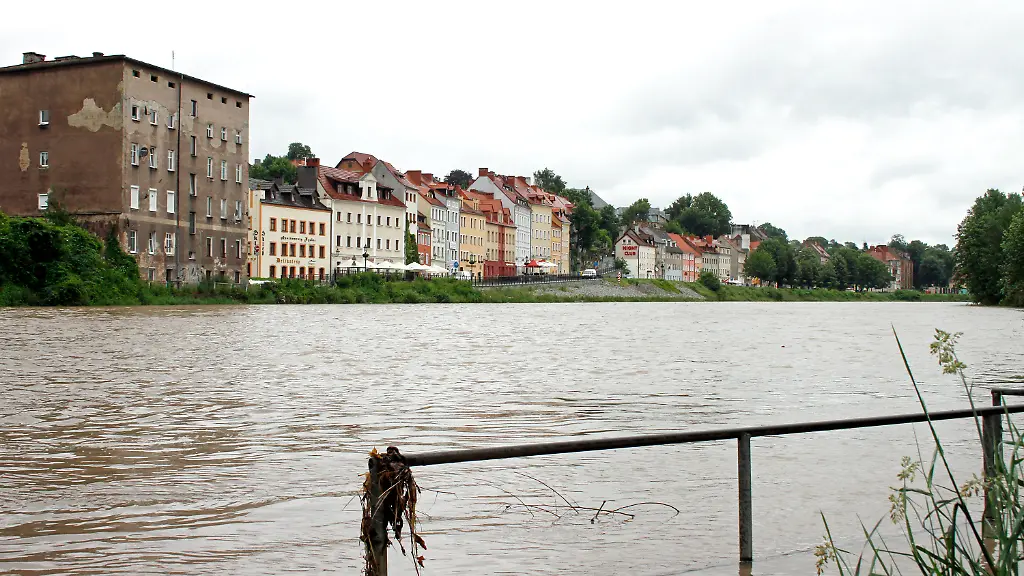 3cfq5133-jpg6010067708736439775