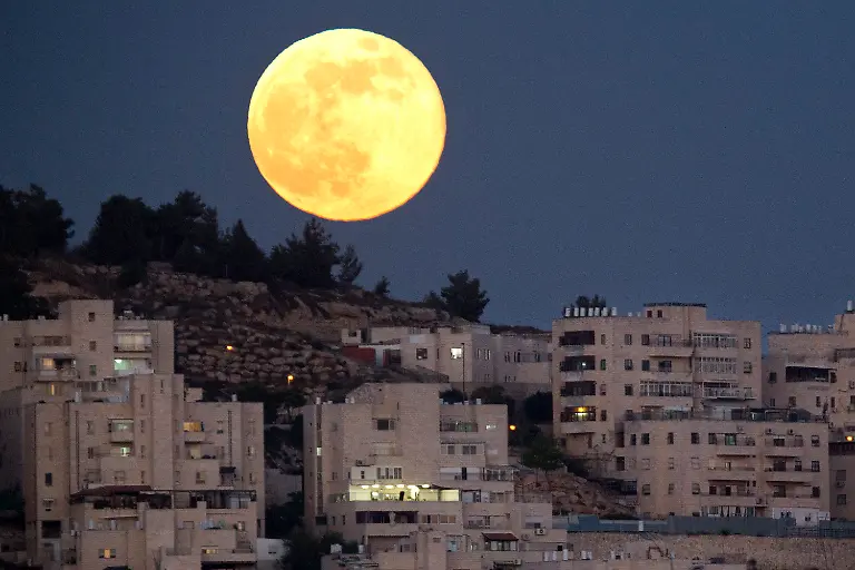 3cek1537-jpg7208351446519208750