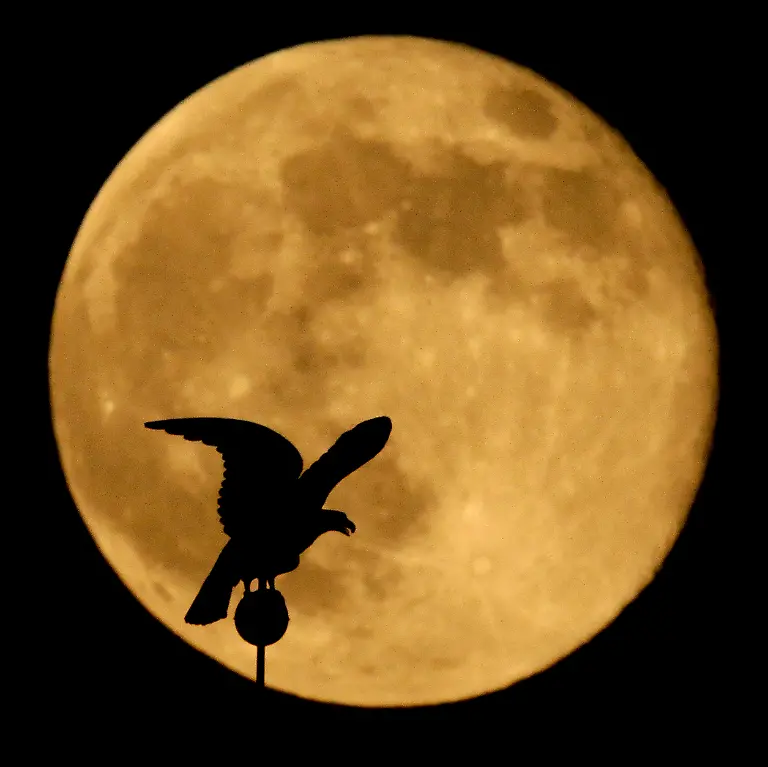 3285B000F7C415AE-jpg6239637470457239097