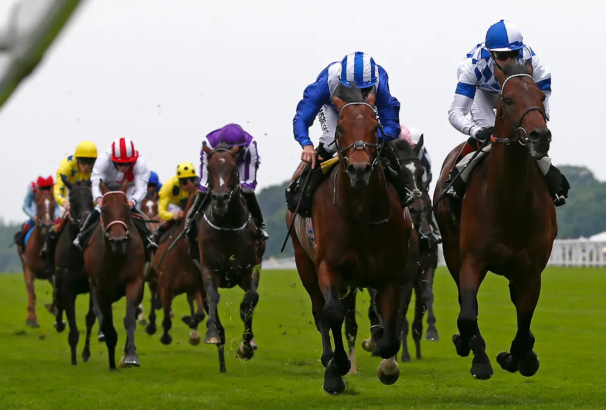 2013-06-19T151517Z-2104589125-GM1E96J1SGR01-RTRMADP-3-HORSERACING-ASCOT-JPG423601679486291456