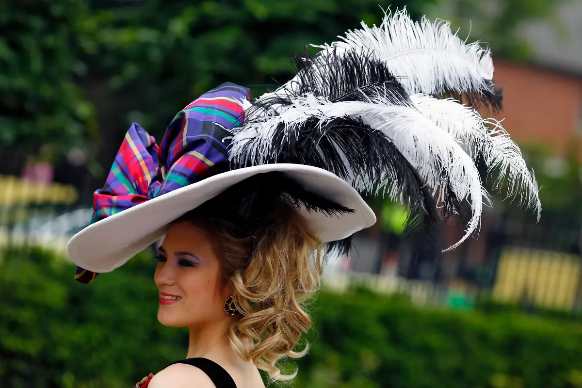 3cce0748-jpg5417761810905797190