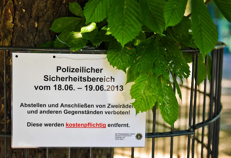 3cac3142-jpg8299216279746215015