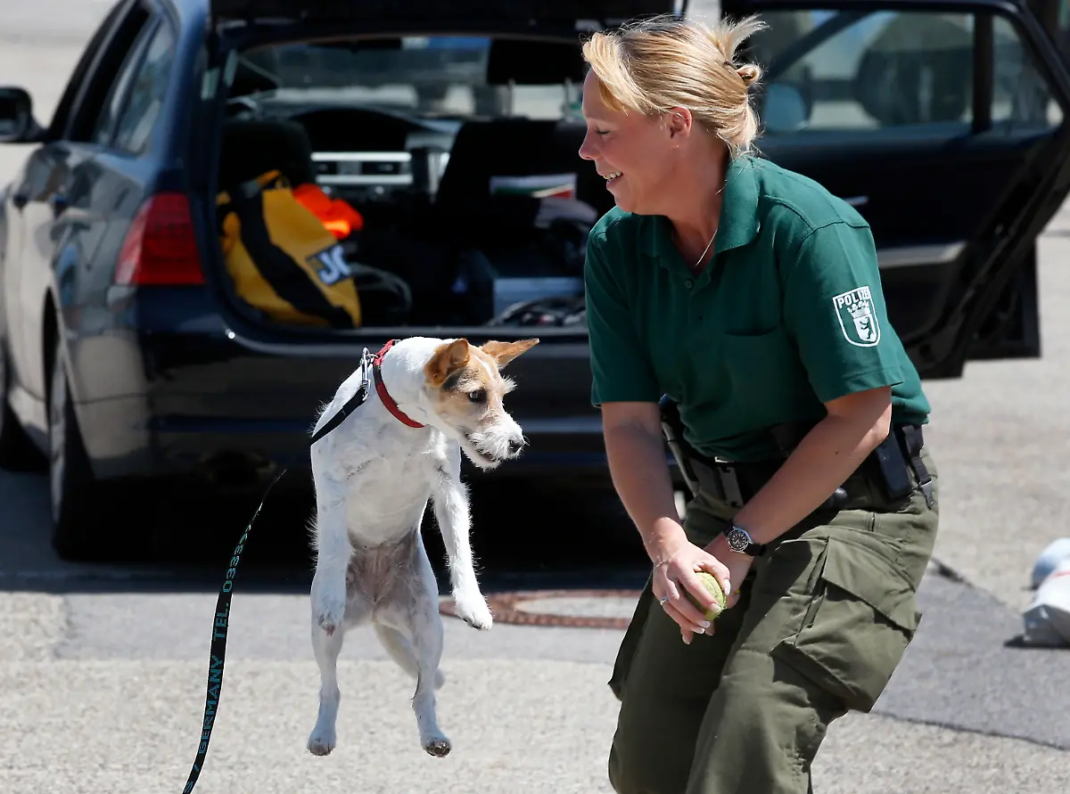 3285A200AD4A3908-jpg5113443162925528046