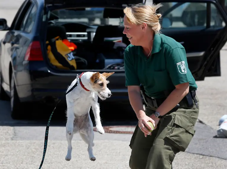 3285A200AD4A3908-jpg5113443162925528046