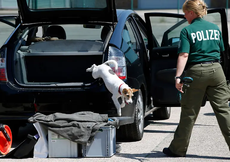 3285A200E096E64F-jpg2814124893174189080