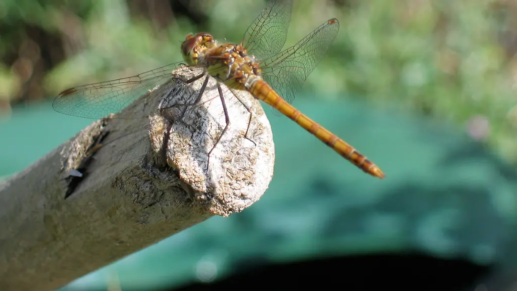 ACHTUNG-Verwendung-nur-zu-redaktionellen-Zwecken-im-Zusammenhang-mit-der-aktuellen-Berichterstattung-und-bei-vollstaendiger-Nennung-der-Quelle