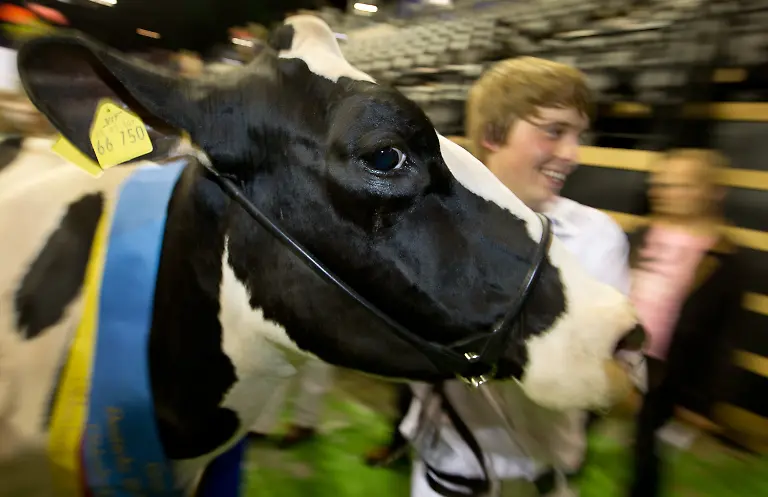 3c7t1213-jpg1094779702352336907