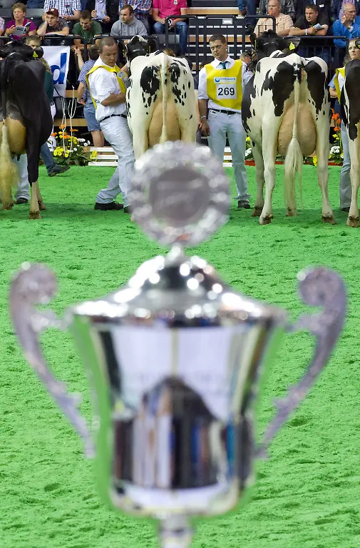 3c7q1833-jpg7715343354767446922