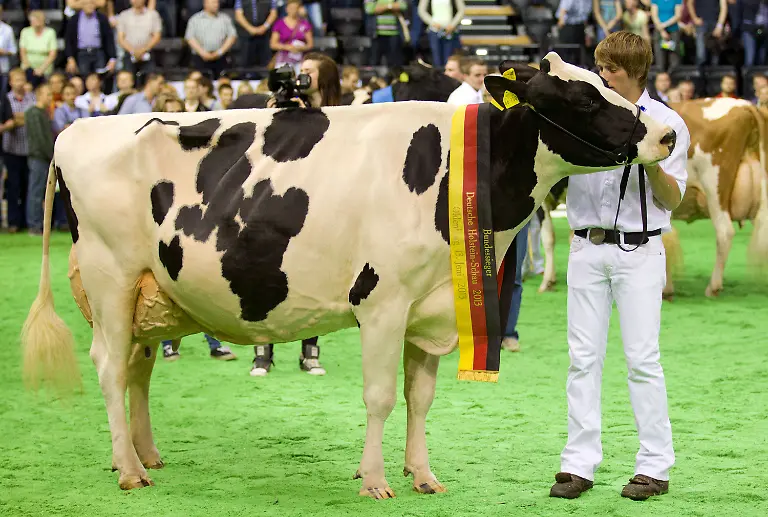 3c7t0432-jpg3364759133726723346