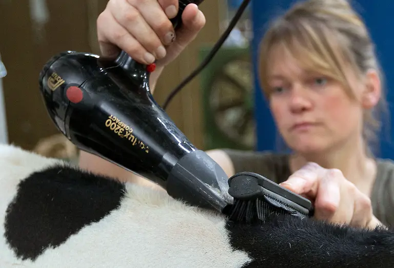 3c7q1305-jpg3601625100662246767