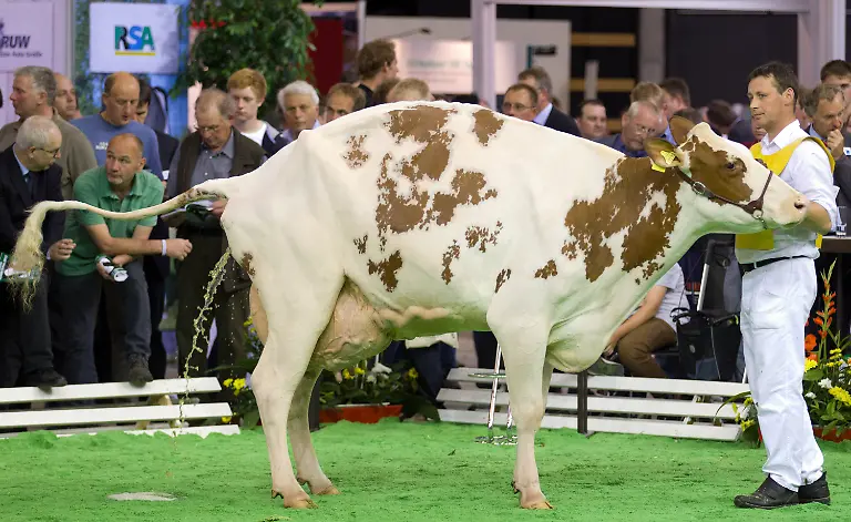 3c7t4247-jpg7838150383814259386