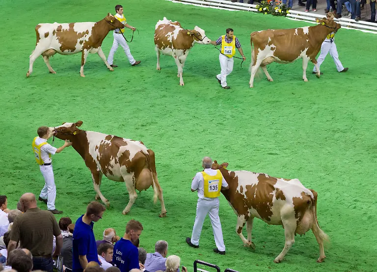 3c7q1550-jpg1890293893318865245