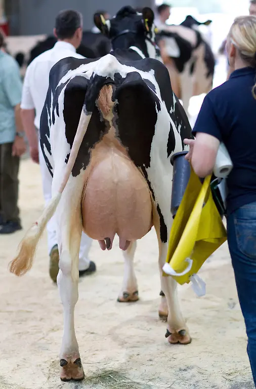 3c7q1451-jpg6254017110071098781