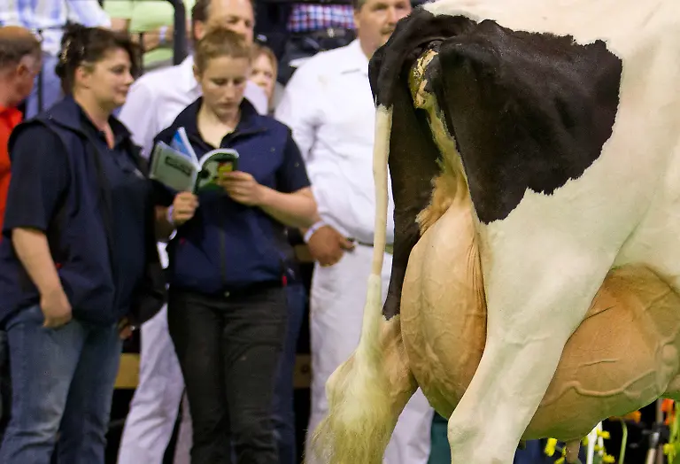 3c7t4302-jpg5415340891364560968