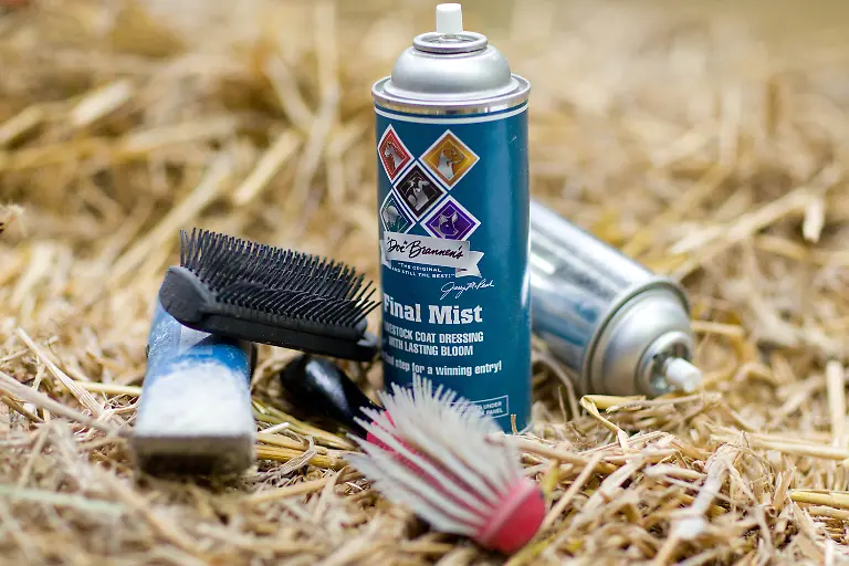 3c7q2006-jpg6071255876411615226