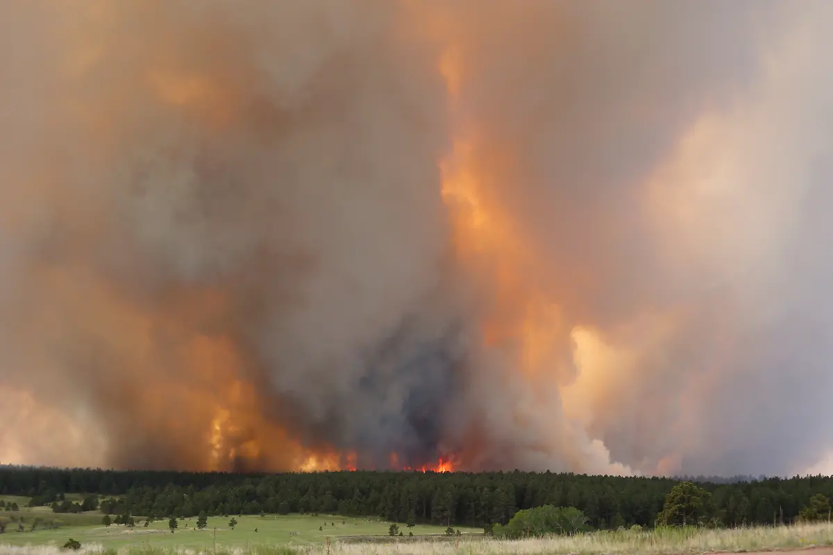 32859800464F0F34-jpg1894936880095455948