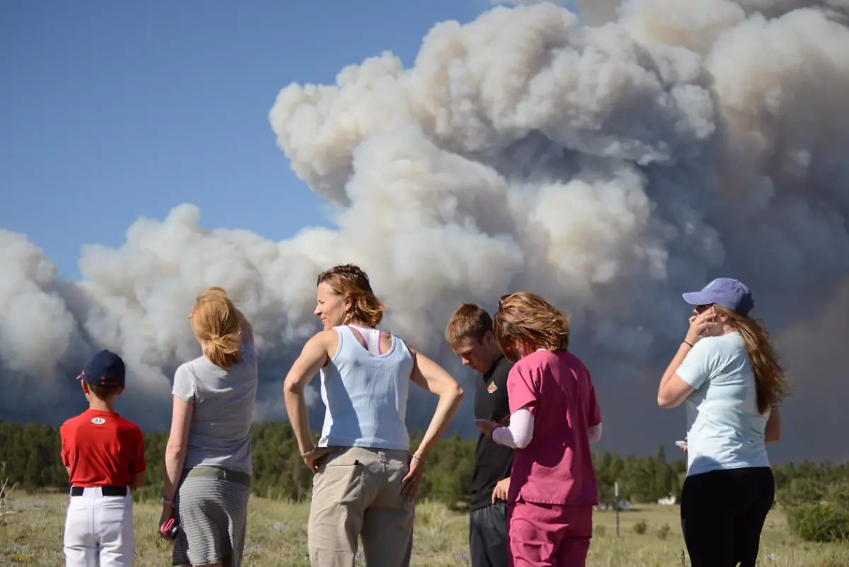 32859800DBD79C59-jpg8759123802889845191