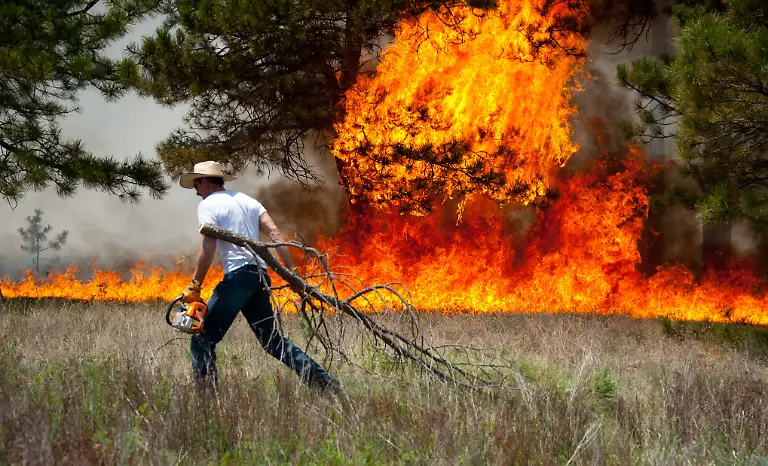 32859800F23BA869-jpg2276277041838609947