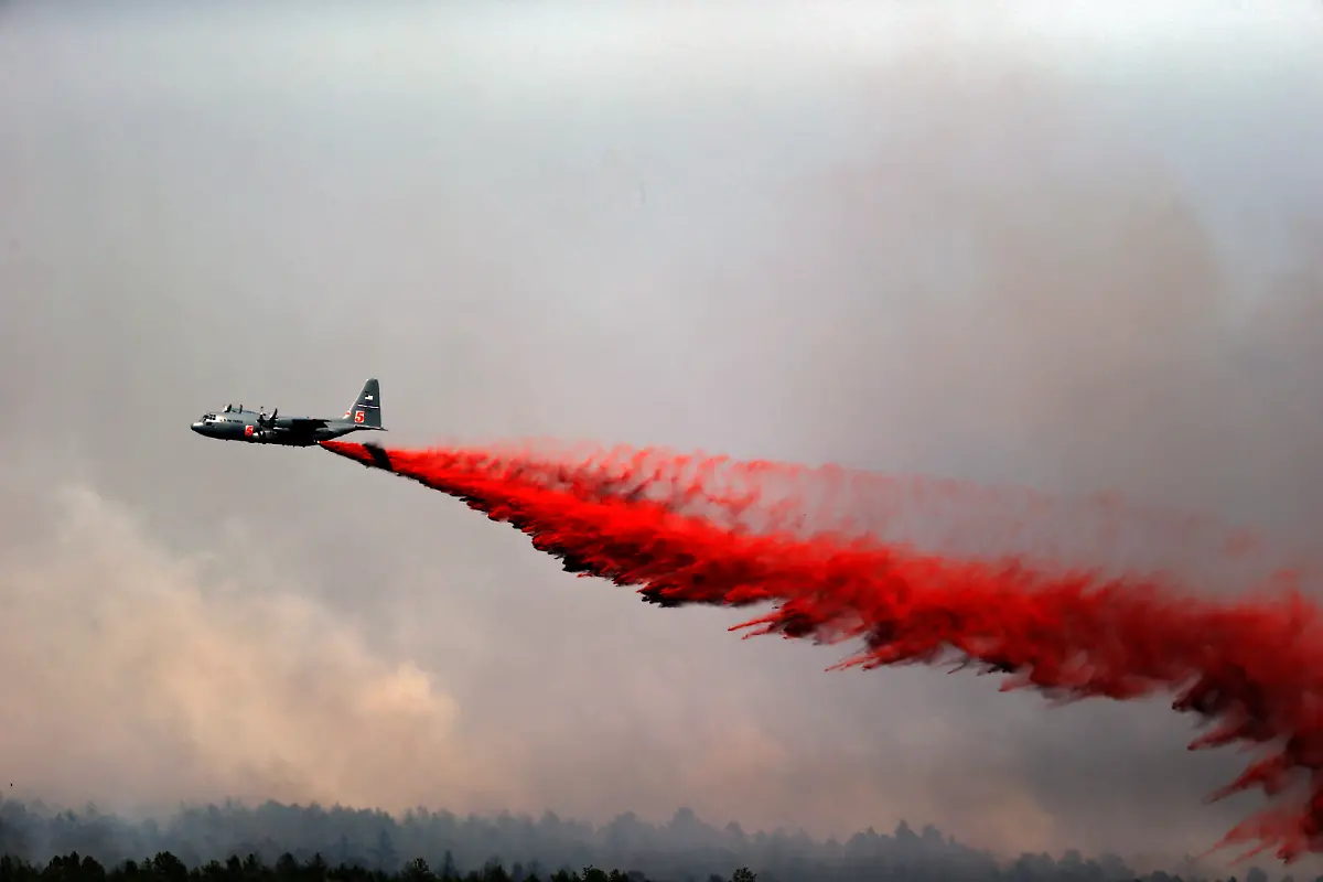 32859A00A54887C9-jpg7310204455141154967