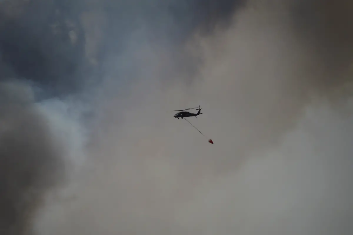 32859A0009CA0C2B-jpg2584186735935369460