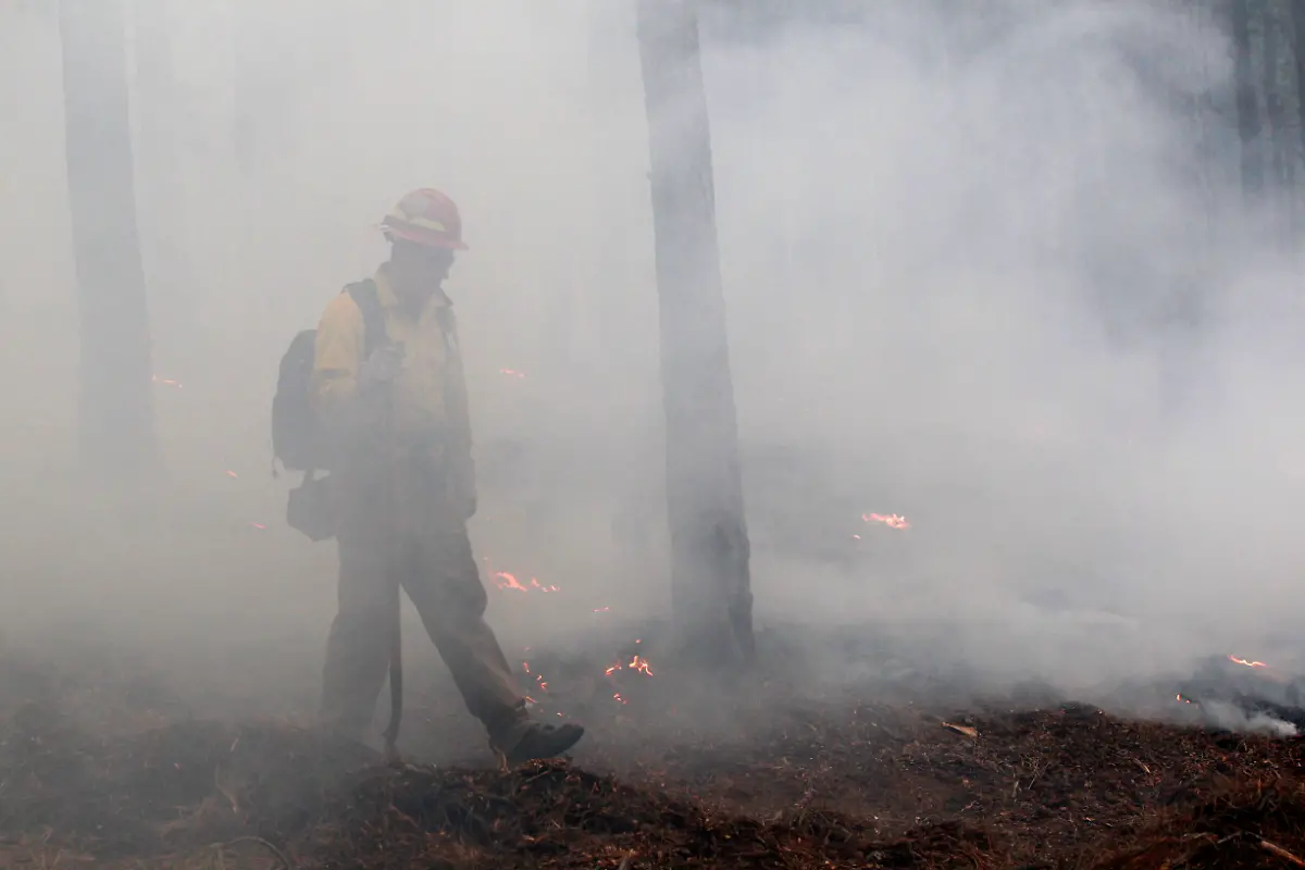 32859A008CC4BE87-jpg2274318910269649371