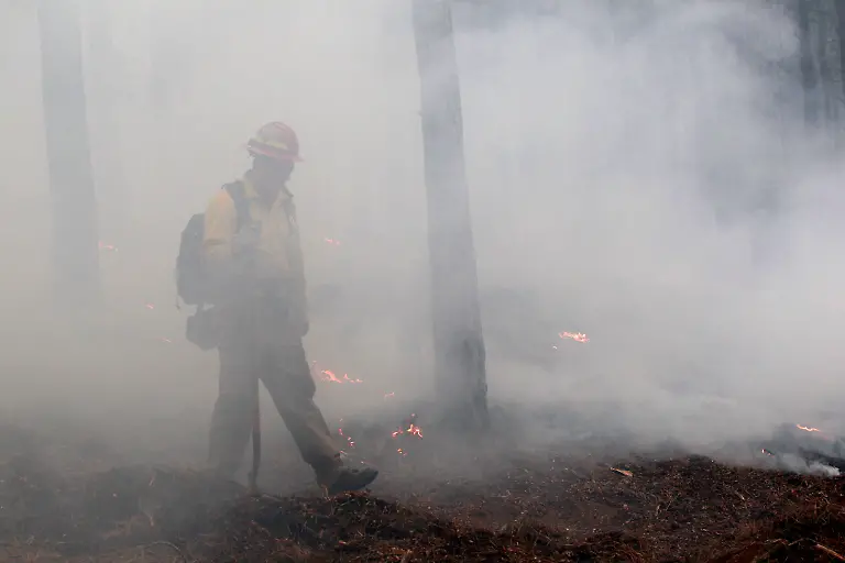 32859A008CC4BE87-jpg2274318910269649371