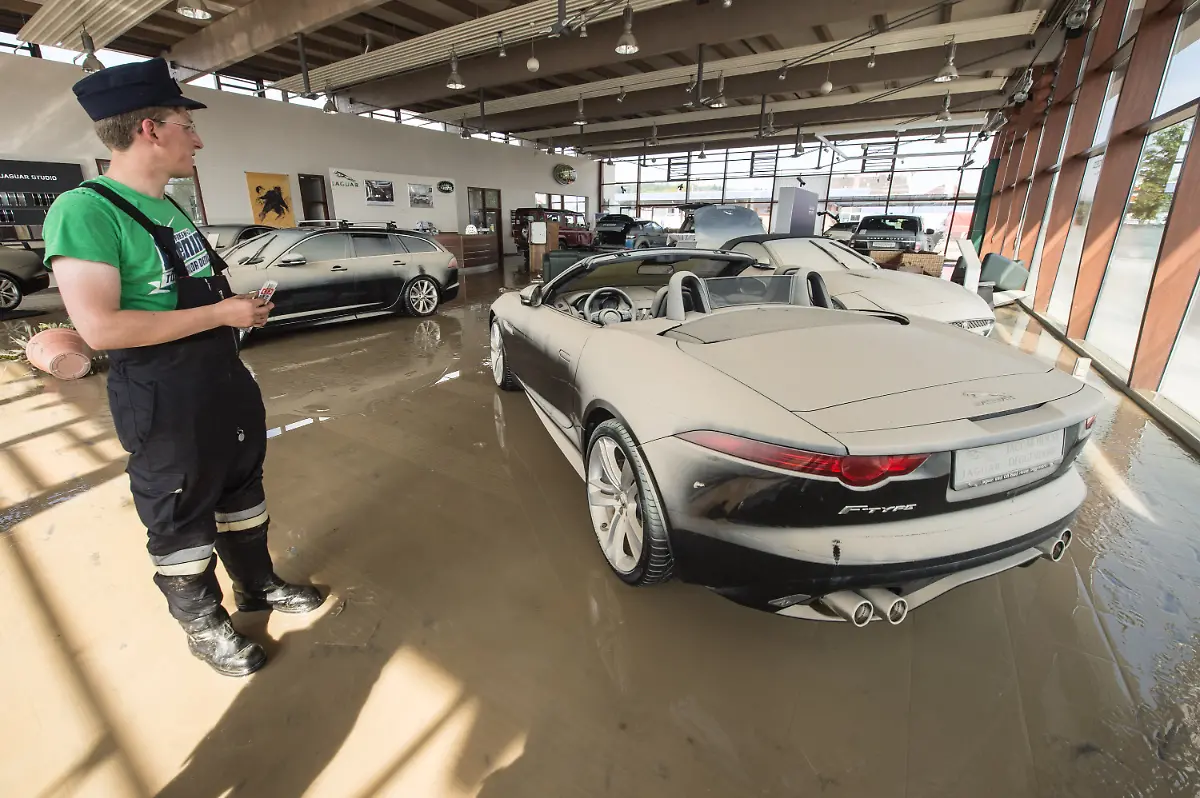 3c564920-jpg579306352913918304