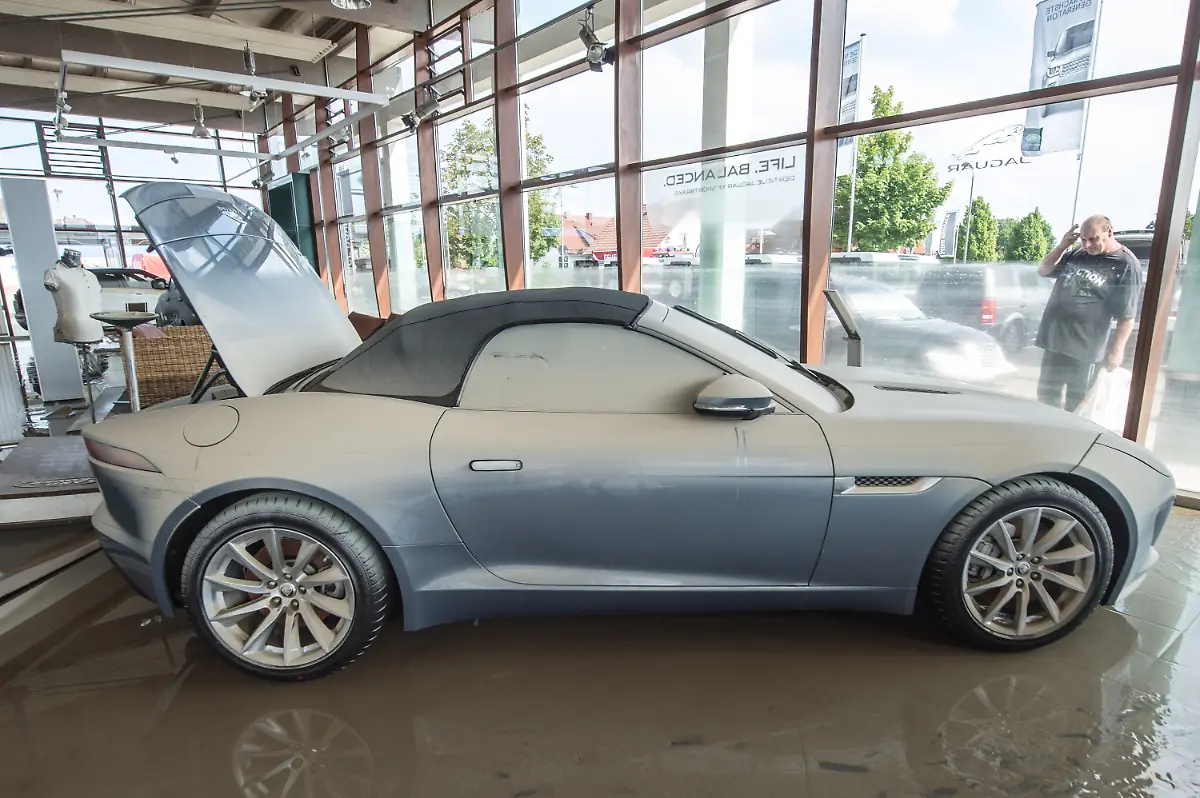 3c564729-jpg6041783036983525421