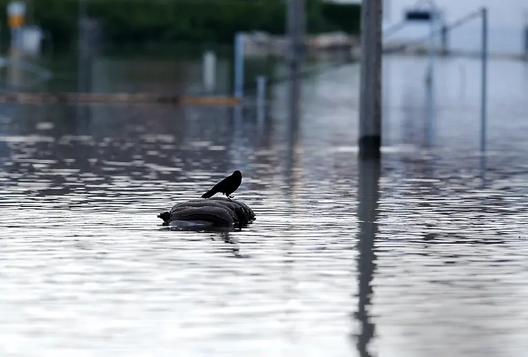 3c2w2024-jpg1021349488472621209