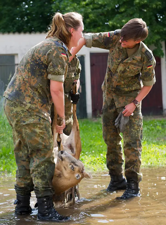 3c6h4126-jpg222464511407688970