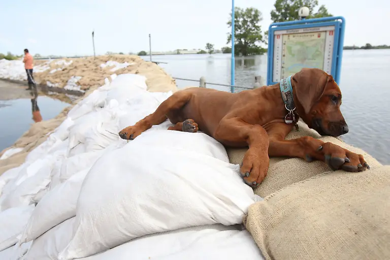 3c563133-jpg461787185680571549