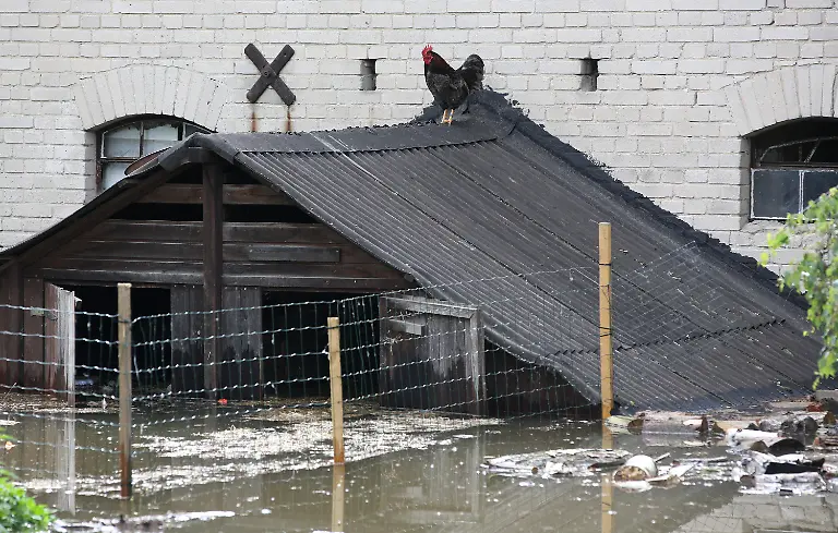 3c6j3111-jpg3233365279133191793