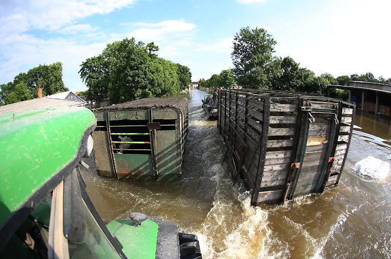 3c6i3703-jpg1888430742759050113