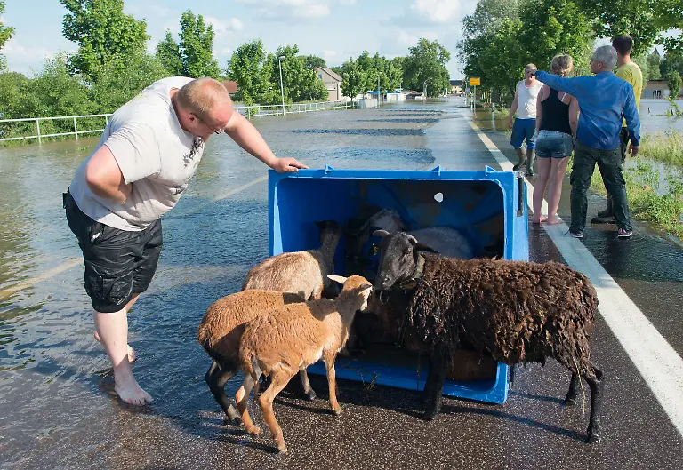 3c5u4451-jpg754685230305190041