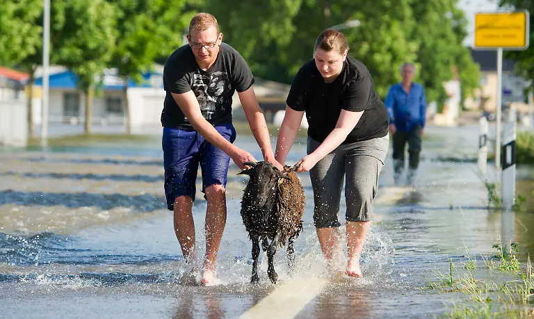 3c5u2629-jpg4051081713218804335