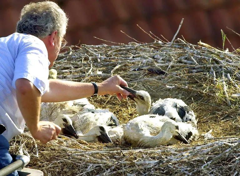 3c450024-jpg6956672671896103494