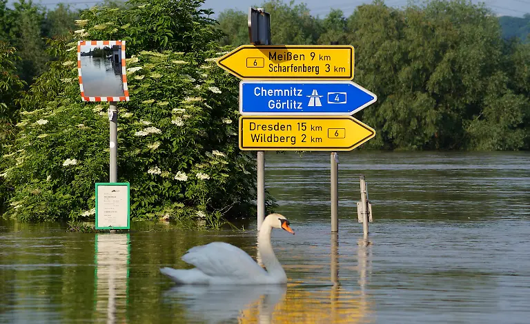 3c3r4321-jpg786868990748669493