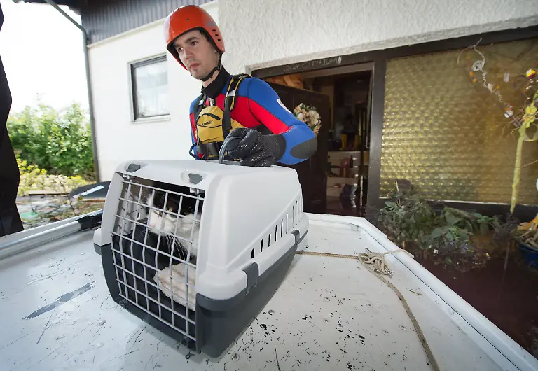 3c3r0130-jpg8728866932755449902