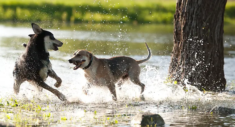 3c3l0429-jpg1805250360640311417