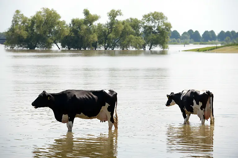 3c2c4821-jpg3776042445966804168