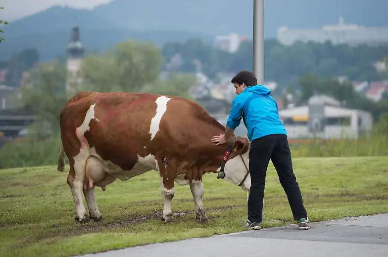 3c1v1827-jpg8537454175483580935