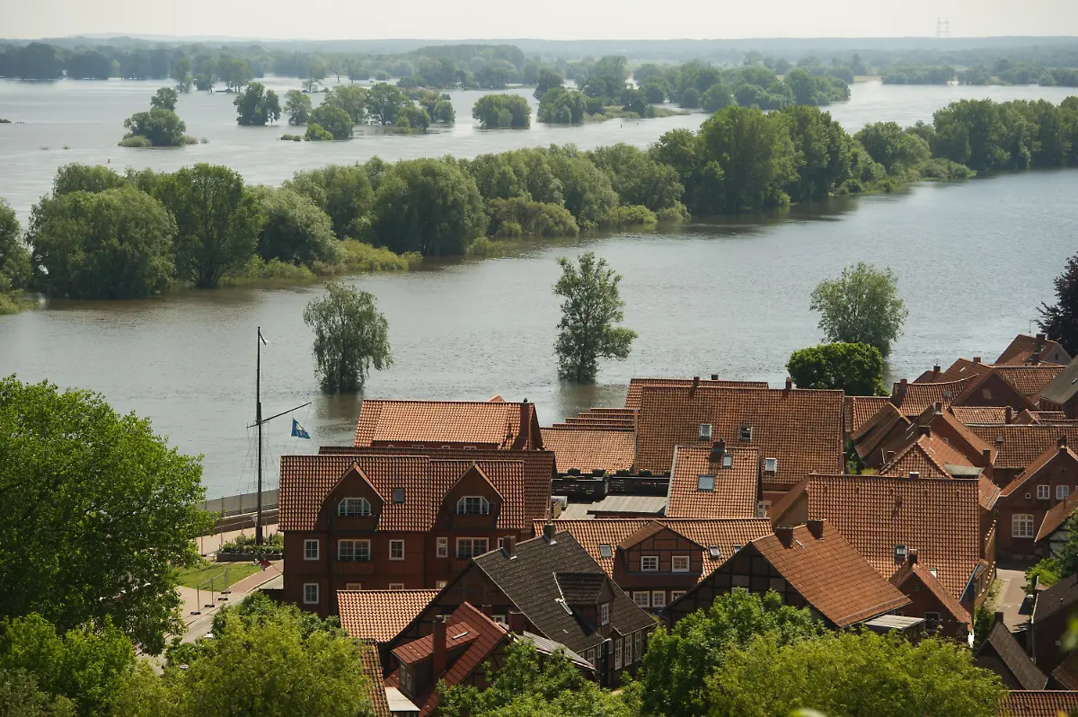 3c4d0524-jpg7944854571142266902