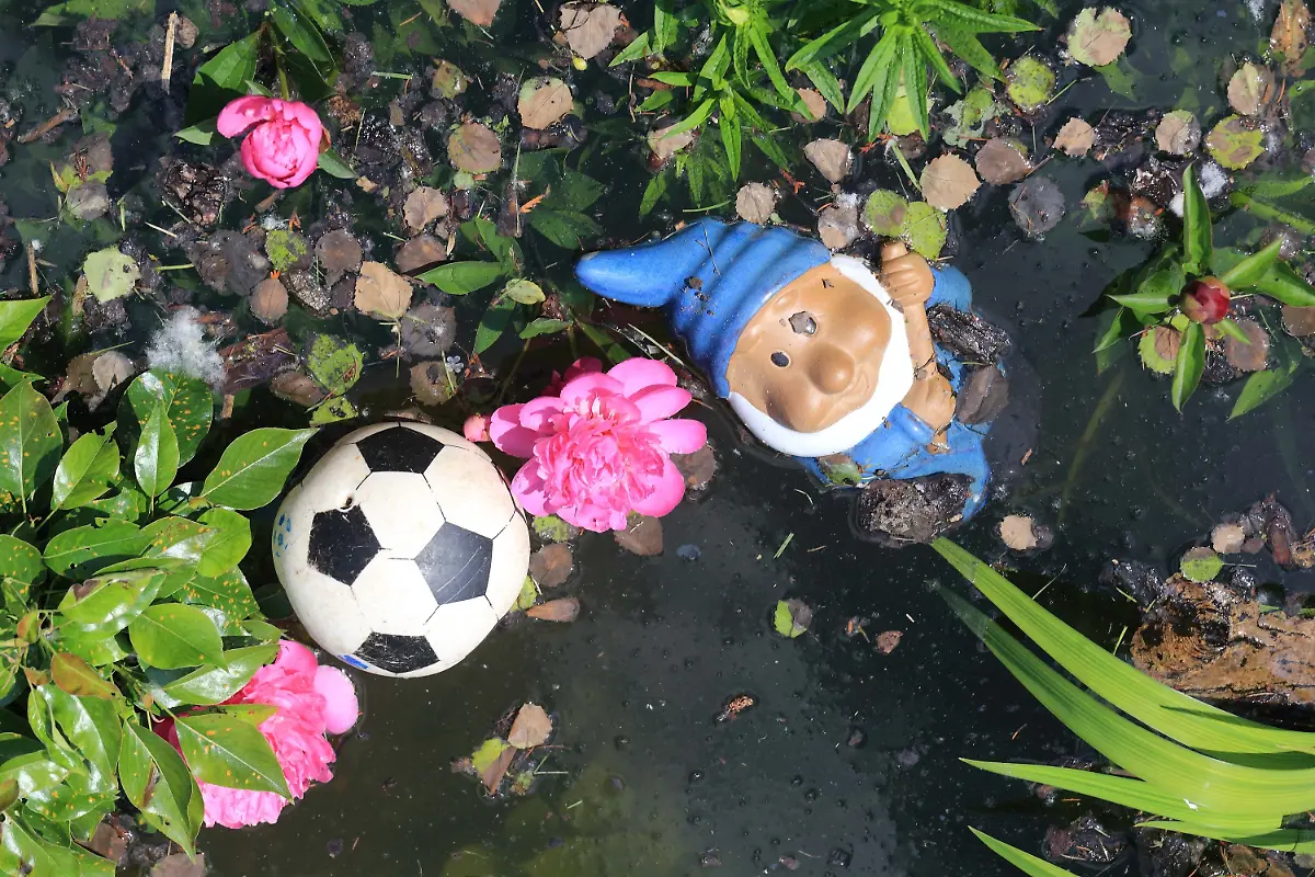 3c4f5159-jpg1817835916812363072