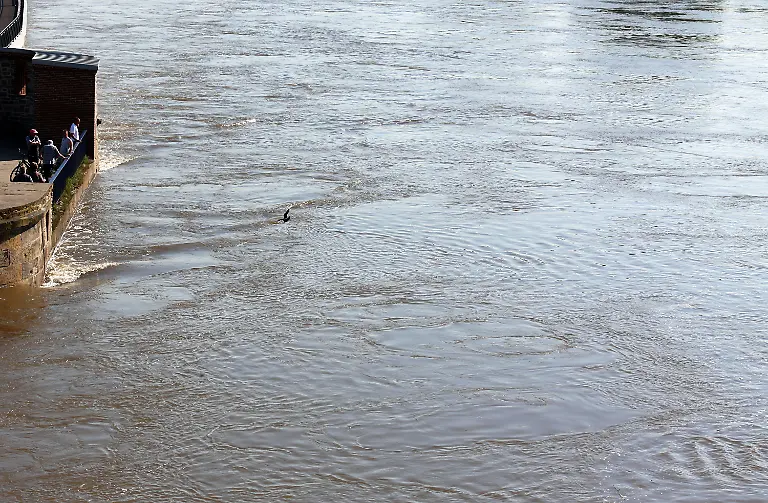 3c4a4018-jpg3849691299060010451