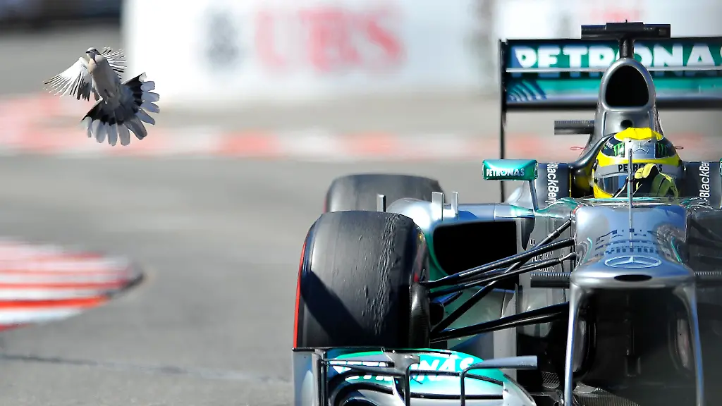 3c3n3558-jpg5432474126796419165