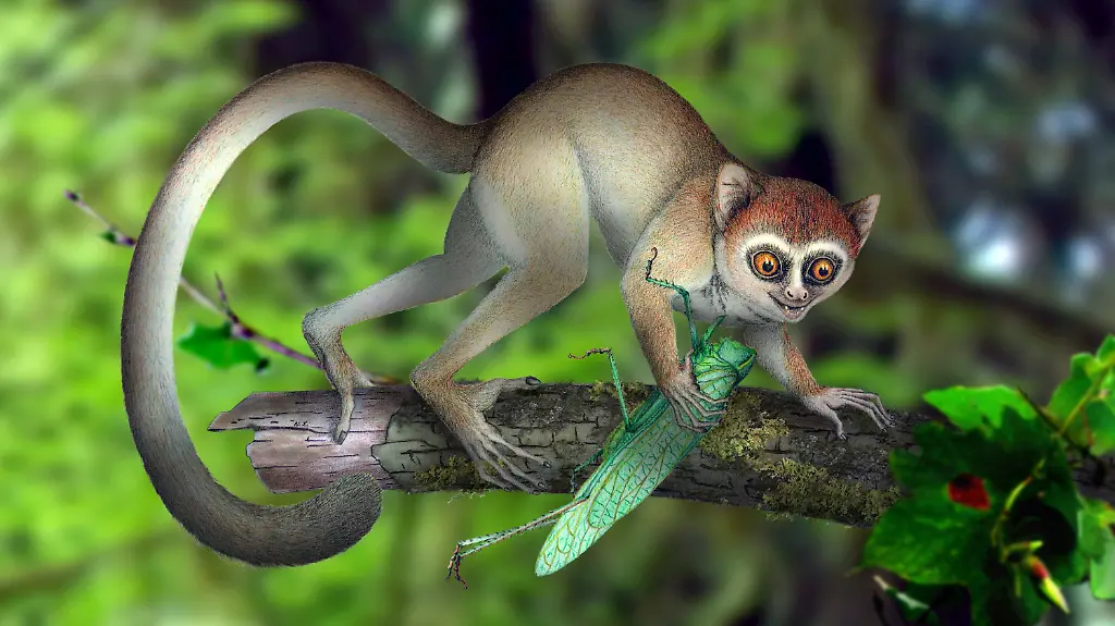 32858A00CFE7B7CC-jpg7897289826892741278